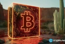 "بيتكوين تثبت قوتها رغم التقلبات.. لكن زخم الألتكوين يتلاشى! اكتشف التفاصيل الآن"