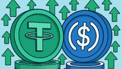 **250 مليار دولار على الأبواب: سوق العملات المستقرة على وشك تحقيق معلم تاريخي!**