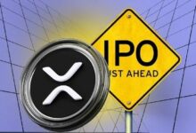 "اكتشف كيف قد تحطم Ripple الأرقام القياسية بطرحها العام الأولي وتقييمها 30 مليار دولار!"