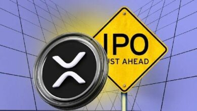 "اكتشف كيف قد تحطم Ripple الأرقام القياسية بطرحها العام الأولي وتقييمها 30 مليار دولار!"