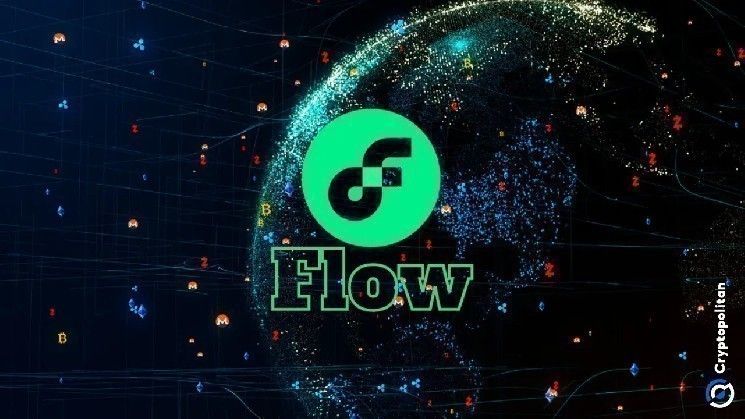 توقع سعر عملة فلوه 2025-2031: هل تعتبر FLOW استثمارًا جيدًا؟ اكتشف الآن!