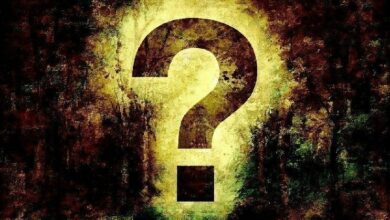 قائمة بأهم 20 عملة رقمية بديلة ركز عليها مطورو العملات المشفرة خلال العام الماضي – اكتشف التفاصيل المثيرة الآن!