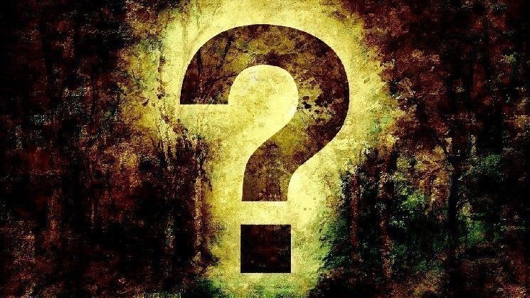 قائمة بأهم 20 عملة رقمية بديلة ركز عليها مطورو العملات المشفرة خلال العام الماضي – اكتشف التفاصيل المثيرة الآن!