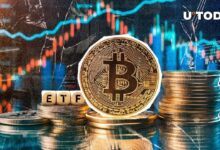 5.86 مليار دولار من البيتكوين تتدفق إلى صناديق ETFs في مايو – اكتشف التفاصيل الآن!