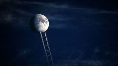 "بيتكوين عند 200 ألف دولار بنهاية العام.. محلل يتوقع ذلك بعد بيانات التضخم المخففة في الولايات المتحدة"