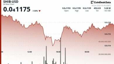 انخفاض نسبة الشراء الطويل إلى البيع القصير لـ SHIB مع تصفية مراهنات صعودية تتجاوز 1.8 مليون دولار – اكتشف التفاصيل الآن!