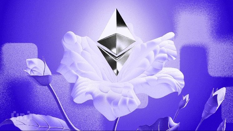 الاستثمار في Ethereum يسيطر عليه ثلاث منصات بشكل كبير – اكتشف التفاصيل الآن!
