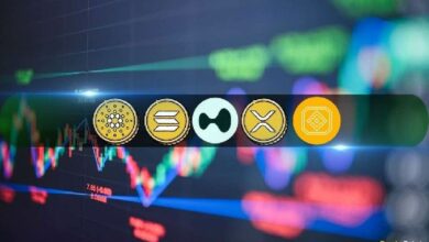 تحليل أسعار العملات الرقمية 20 يونيو: XRP، ADA، BNB، SOL، وHYPE – اكتشف التوقعات الآن!