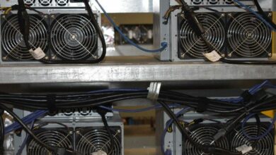 تحسن ربحية تعدين البيتكوين في مايو وفقًا لـ JPMorgan: اكتشف الأسباب الآن!