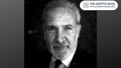 بيتر شيف يهاجم مرة أخرى: الفضة لديها إمكانات صعودية أكثر واقعية مقارنة بـ البيتكوين – اكتشف السبب الآن!