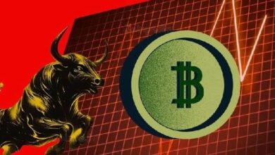 لماذا يرتفع سوق العملات الرقمية اليوم؟ اكتشف الأسباب الآن!