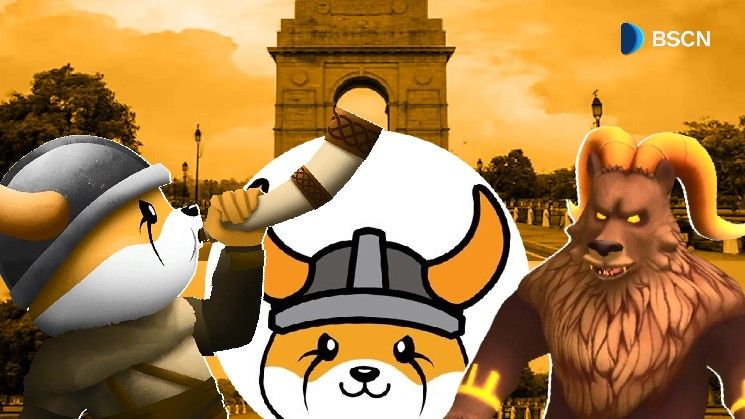 "فلووكي تطلق حملة فالهالا الواقعية لغزو دلهي الكبرى – اكتشف التفاصيل الآن!"