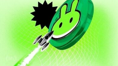 3 عملات ميم في نظام بونك يجب مشاهدتها هذا الأسبوع