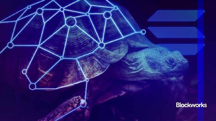 كواليس مشكلة بطء المُتحقق في شبكة سولانا: اكتشف الأسباب والحلول الآن!