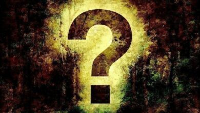 أحدث البيانات: تعرّف على أفضل 10 ألتكوينات للأصول الواقعية التي يركز عليها المطورون الآن!