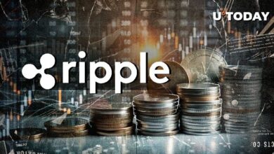 "عملة Ripple المستقرة RLUSD تحقق قفزة 127% في الحجم.. هل تشير إلى صعود كبير لـ XRP؟"