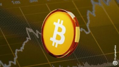 تجاوزت تدفقات البيتكوين إلى البورصات 81 ألف BTC مع تخلص الحيتان والمعدنين من أصولهم لتحقيق الأرباح - تعرف على التفاصيل الآن!
