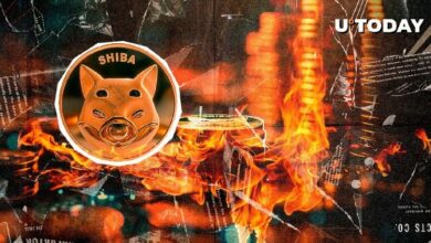 حرق عملة SHIB يصل إلى 0.00% — لماذا يُعتبر هذا مؤشرًا صعوديًا؟ اكتشف السبب الآن!