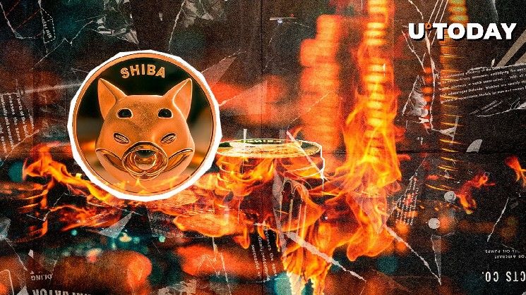حرق عملة SHIB يصل إلى 0.00% — لماذا يُعتبر هذا مؤشرًا صعوديًا؟ اكتشف السبب الآن!