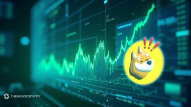 هل يستعد BONK لمزيد من المكاسب بعد ارتفاعه 25% في يوم واحد؟ اكتشف التفاصيل الآن!