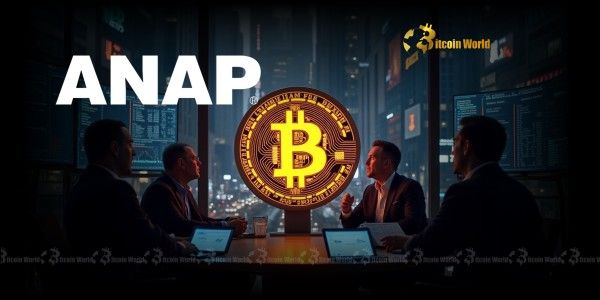 "بيتكوين: عملاق الموضة الياباني ANAP يسرع زيادة حيازته من BTC ويستهدف تجاوز 1000 عملة"