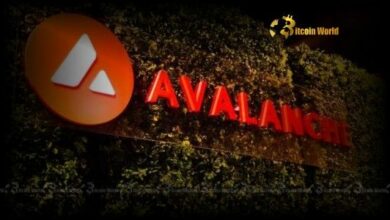 "أفالانش تُحدث ثورة في مدفوعات العملات الرقمية للمؤسسات: صفقة لينك التاريخية تفتح آفاقًا جديدة"