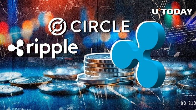 "منافس ريبل سيركل يتلقى تخفيض تصنيف من كومباس بوينت: التفاصيل الكاملة هنا!"