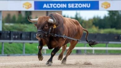 هل سيشعل صناديق الاستثمار المتداولة لـ Solana المُنتظرة غدًا موسمًا جديدًا للعملات البديلة؟ محلل يكشف توقعاته