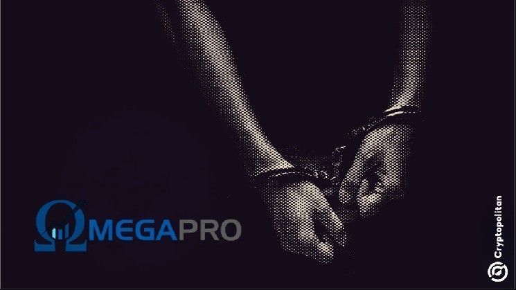 "السلطات الأمريكية تتهم رجلين في مخطط احتيال بتشفير "أوميجا برو" بقيمة 650 مليون دولار – تعرّف على التفاصيل"