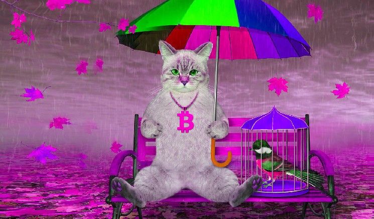 "هذا قد يكون أكبر فخ صعودي – تحذير عاجل من متداول بعد تجاوز البيتكوين 118 ألف دولار!"