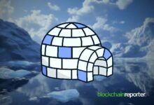 أبرز نشاطات NFT هذا الأسبوع: CryptoPunks و Pudgy Penguins تحتلان الصدارة – اكتشف التفاصيل الآن!