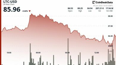 "لايتكوين يهبط دون 86 دولارًا مع استمرار المقاومة؛ المتداولون يراقبون هيمنة البيتكوين – تعرف على التفاصيل الآن!"