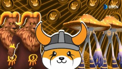 "فلوكي فالهالا يتجاوز 100 ألف عملة فيرا مسكوكة خلال أيام من الإطلاق!"