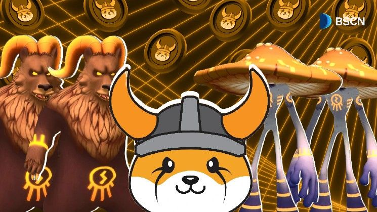 "فلوكي فالهالا يتجاوز 100 ألف عملة فيرا مسكوكة خلال أيام من الإطلاق!"