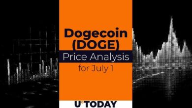 توقع سعر عملة DOGE في 1 يوليو: هل يحقق القفزة المتوقعة؟