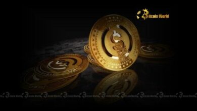 تحويل USDC: سحب غامض بقيمة 441 مليون دولار من بينانس يثير التكهنات - اكتشف التفاصيل الآن!