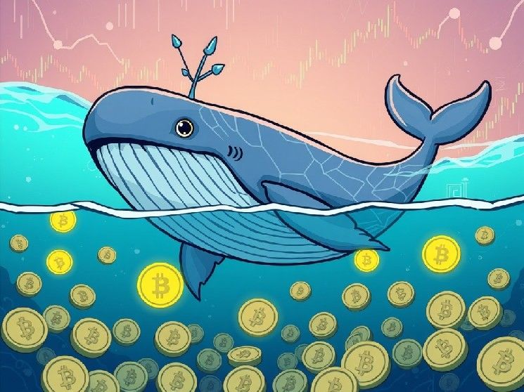 "حوت Hyperliquid يطلق صفقة جريئة بـ 65.14 مليون دولار على الإيثيريوم – اكتشف التفاصيل الآن!"