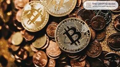 "حيتان البيتكوين تتخلص من 500 ألف عملة في عام واحد مع دخول المؤسسات بقوة: تقرير بلومبرج – اكتشف التفاصيل الآن!"