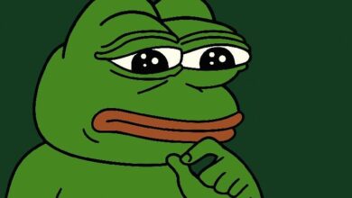 هل بيبي مستعدة للارتفاع بنسبة 50%؟ اكتشف الآن!