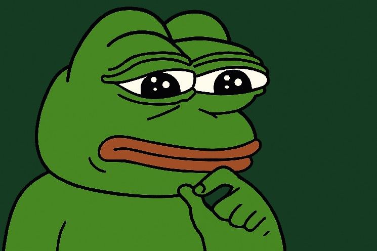 هل بيبي مستعدة للارتفاع بنسبة 50%؟ اكتشف الآن!