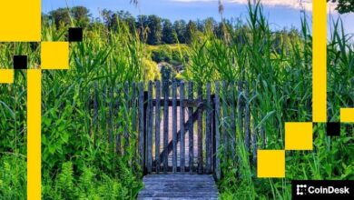 "المجتمعات المغلقة رائعة فعلاً للعملات الرقمية – مارك فانليربيرجيه"