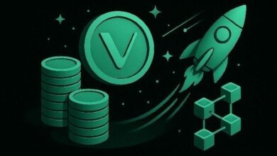 "فيتشين تُفعّل ترقية جالاكتيكا وإطلاق ستارغيت للستيكينج — بدء تطبيق الرسوم الديناميكية وتحديثات التوكينوميكس!"