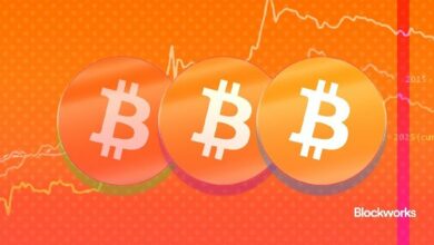 سوق البيتكوين الصاعد في طريقه ليكون ثاني أطول سوق صاعد في التاريخ - اكتشف التفاصيل الآن!