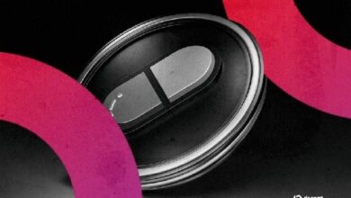 "إطلاق عملة Pump.fun يتجاوز قيمتها السوقية 2 مليار دولار بعد طرحها الضخم – لكنها لم تتفوق على Bonk بعد!"