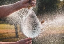 **دوجكوين يرتفع 6% ليقود مكاسب العملات الكبرى بينما بيتكوين يقترب من 110 ألف دولار بفضل تفاؤل جديد بخفض الفائدة**