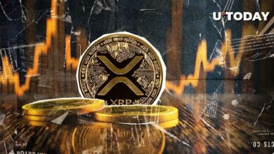 "حجم تداول XRP يقترب من 5 مليارات دولار مجددًا مع انعكاس السعر صعودًا – تعرف على التفاصيل الآن!"