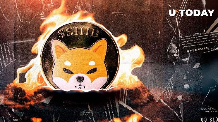 معدل حرق Shiba Inu يرتفع بنسبة 10,786%: هل تحركات كبيرة في السعر على الأبواب؟