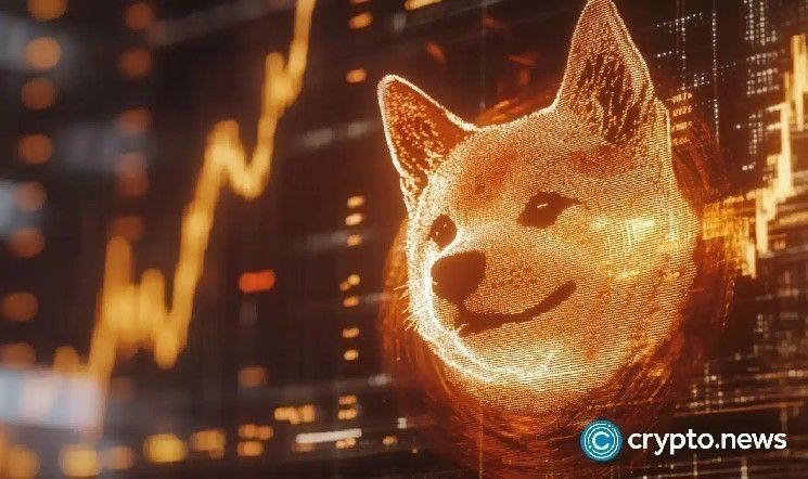 أهم 4 أسباب قد تؤدي إلى انتعاش سعر شيبا إنو قريبًا – تعرف عليها الآن!