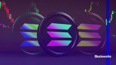 ارتفاع سعر سولانا بعد إطلاق صندوق ETF يتلاشى بعد بلوغ 161 دولارًا - اكتشف التفاصيل الآن!