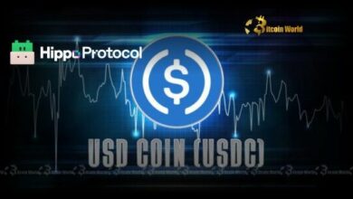 "إطلاق هيبو بروتوكول الرائد: عملة USDC المستقرة تصل إلى شبكة هيبو تشين التجريبية"